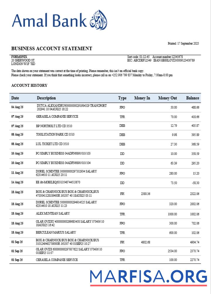Blank Somalia Amal organization statement Word and PDF template